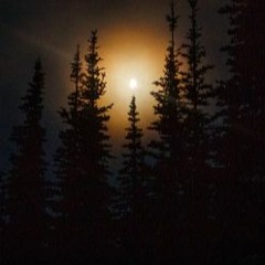 In the Pines Cover