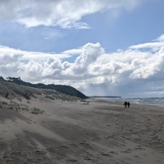 Permanently Transient