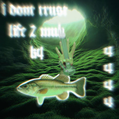 much 2 life (p.k4)