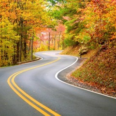 Želimir Panić - Green Miles