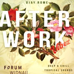 DJay Rome - After Work Vibez Vol. 3 (Powered By Forum Hotel Widnau CH) LIVE MIX