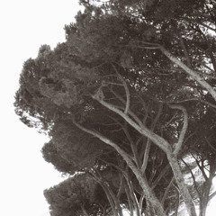 An Italian Summer - L.A.Knight @Le Nom de La Rose (2022)