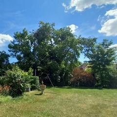 Summery Day In May (Loop)