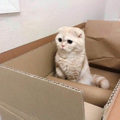 do u want to talk me to sleep?