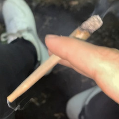 tremz bar session