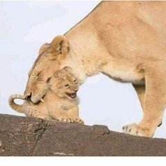 توينز الاشقيه