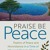Artwork for The Psalms of Peace