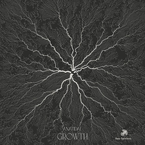 Last Time In Narrawallee