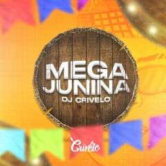 MEGA JUNINA DE BH - DJ CRIVELO