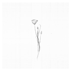 Consolation No. 1 in E-Flat Major