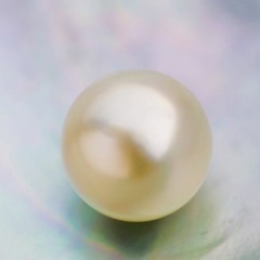 UHLE 26.02.2023 SHHH...