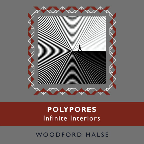 Premiere: Polypores - Secretions Of Memory (Woodford Halse)