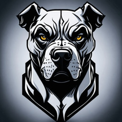 KOLI_JU BEN [CHIILEX SOUND REMIX]