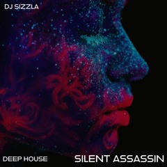 Silent Assassin