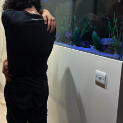 snoa - bored prod 444jet