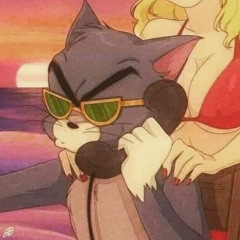 Chẳng Hợp Nhau Đâu - TS remix