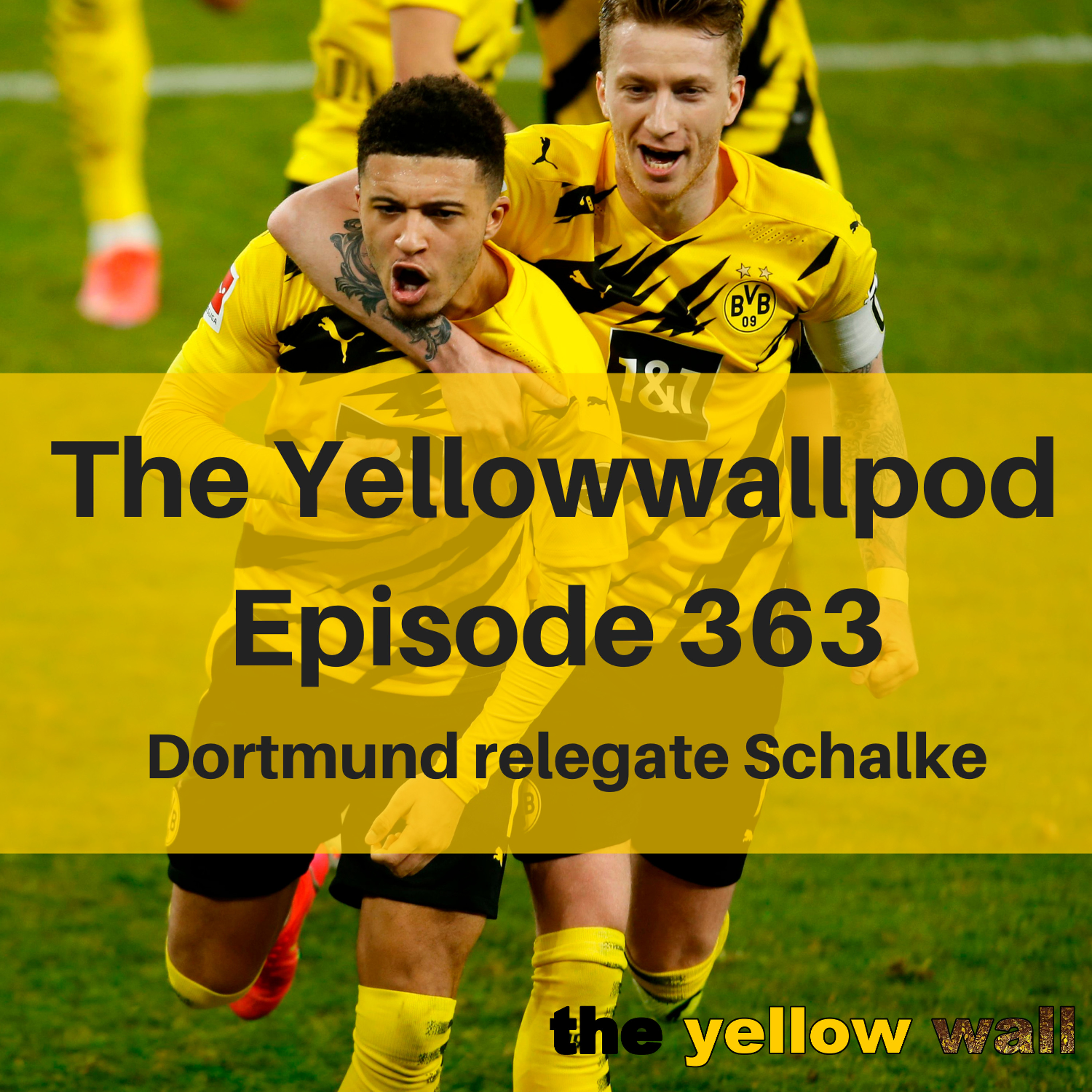 Yellowwallpod