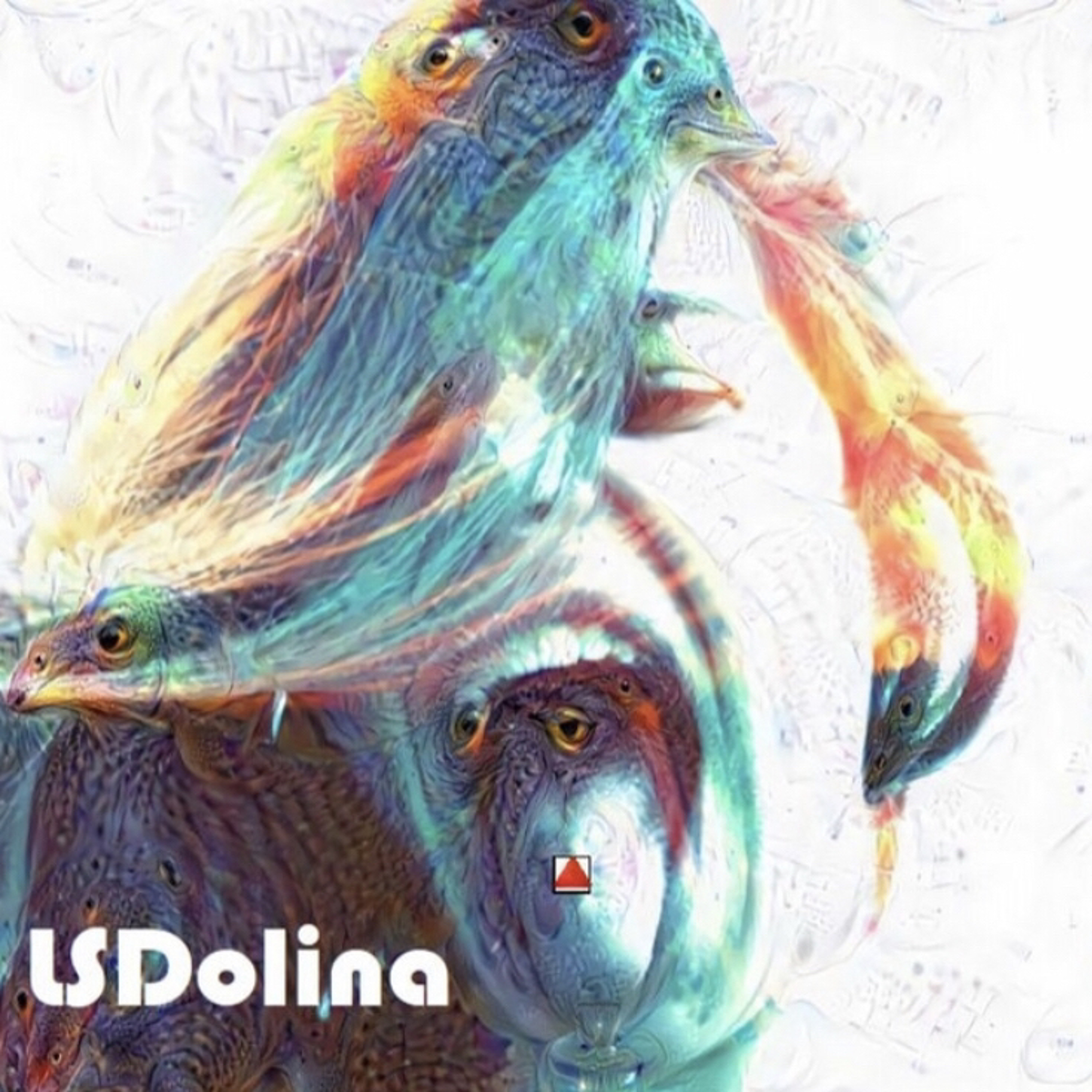 LSDolina