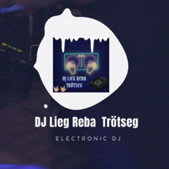 DJ LIEG REBA TRÖTSEG Feat.Alfred Heinrichs Middle of The Night  Remix