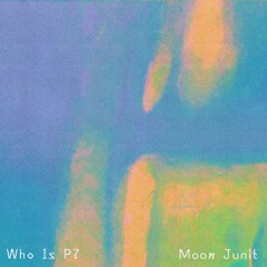 Who Is P?