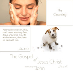 Voice Note for 20241216 - TheGospelofJesusChrist-Part17-John13-TheCleansing