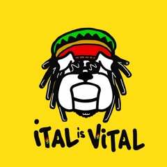 ALX SOUNDS - Roots Future Mix