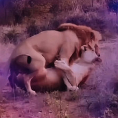 Piece Of My Love By Guy Remake By Estevan Johnson