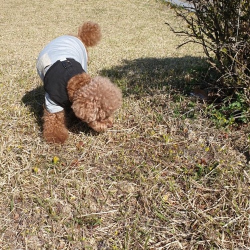 Dear April_04072020