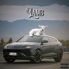 T-man - Lamb