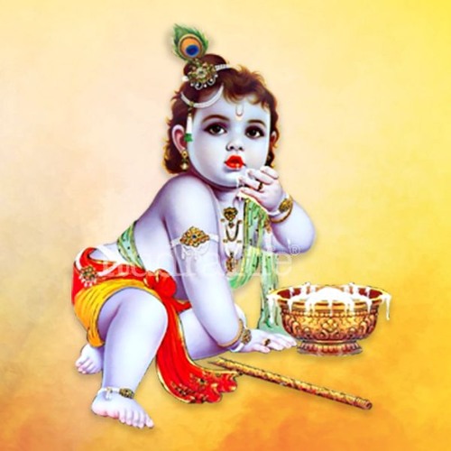 17- Janmashtami Celebrations