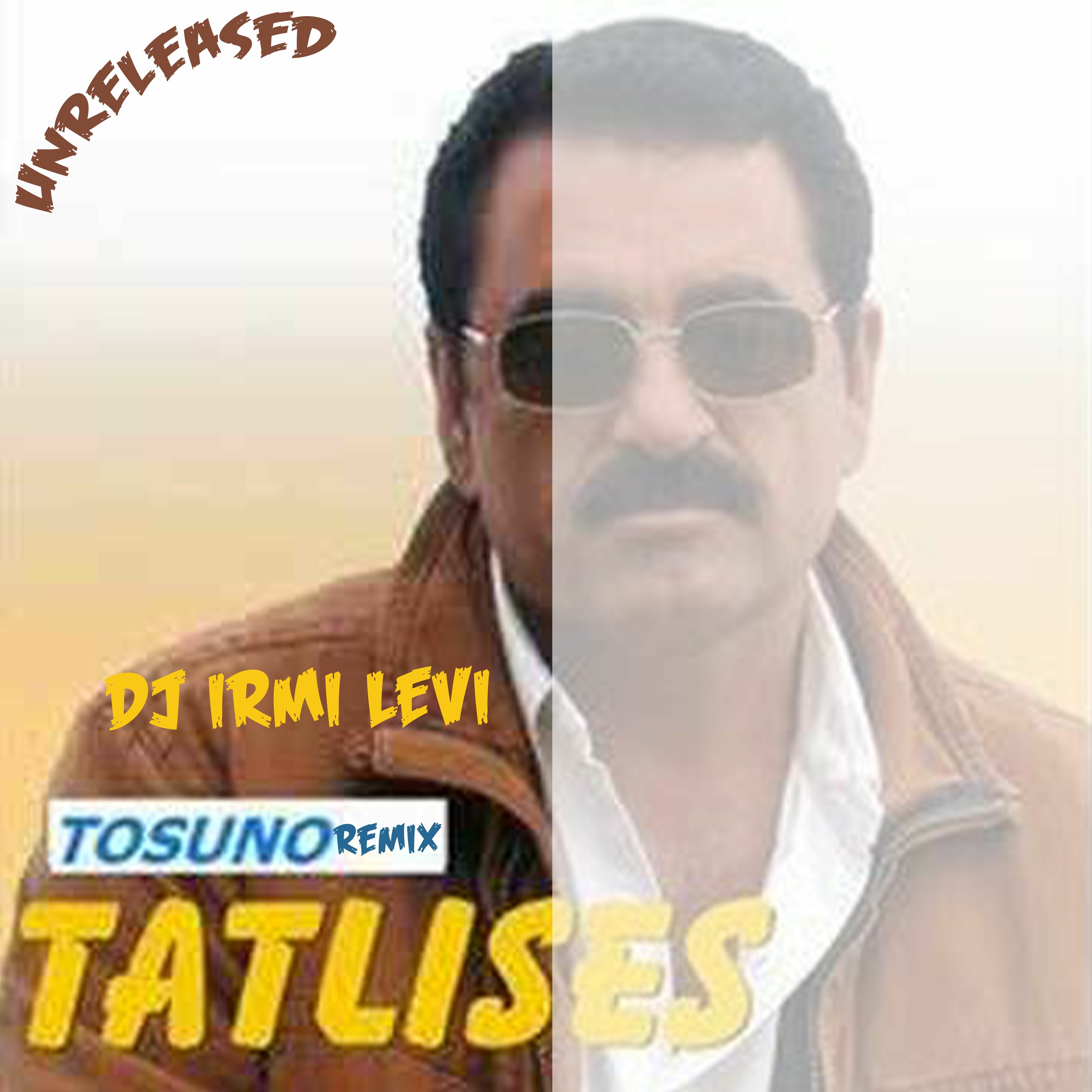 Irmi Levi