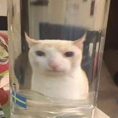 Head bangin & groovin