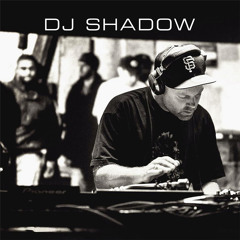 DJ Shadow live in Vienna - 19.08.2002