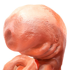 REBORN: THE END AND THE BEGINNING