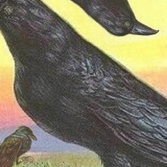 Crow Song