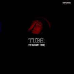 Tube, De Dikke Buis (Original Mix)
