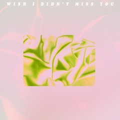 Angie Stone - Wish I Didn't Miss You (Peer Du Version)