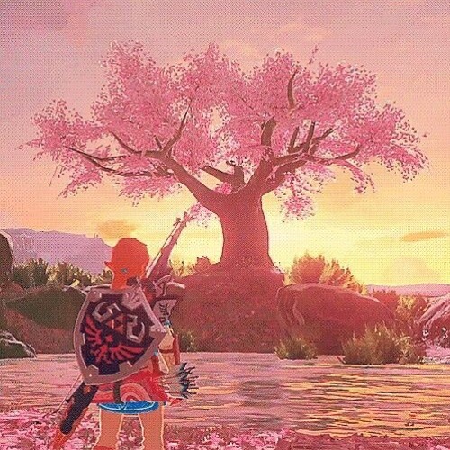 codename ✵6 ✶ छह ✶ - $antana_$hadowz