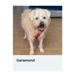 ones and twos @ girl haus 10/26/25