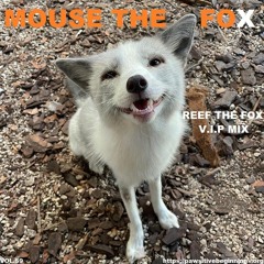 MOUSE THE FOX - REEF THE FOX V.I.P MIX - VOL.59 - 06.11.2022