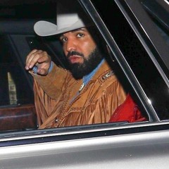 THIS IS DRAKE AFTER ONE GAME OF RED DEAD ONLINE