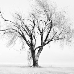 grandma got run over by a bently (prod. @yvng.once)