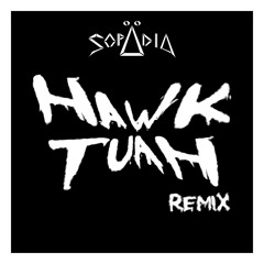 Hawk Tuah (Sopädia Remix)