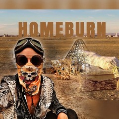 Born Wild - Afrikaburn Homeburn
