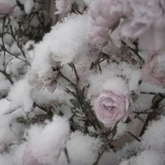 🎧 ˖ ࣪ 𝇋♡︎𝇌 ׂ pulsewidth - aphex twinׄ ׅ ✿ bass boosted