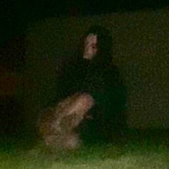 world in my eyes (cover)