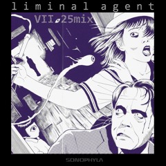 Liminal Agent [VII.25 mix]