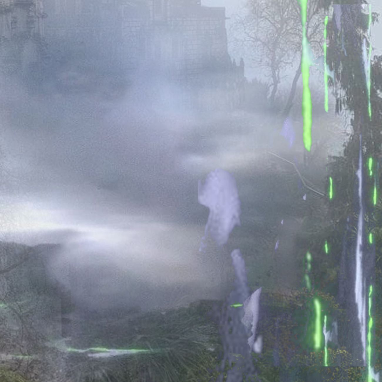 990x Tea Ceremony Live from Amsterdam @moychay.nl