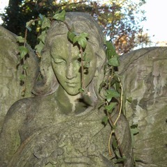 Forgive Everything Vol. 9