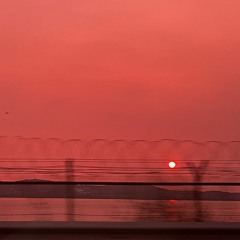 서울